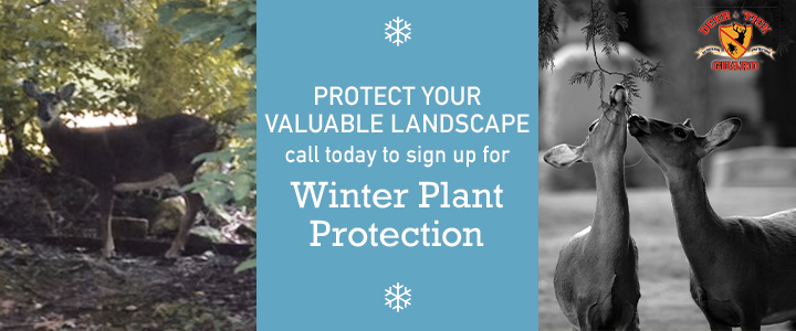 sign up for winter plant protection