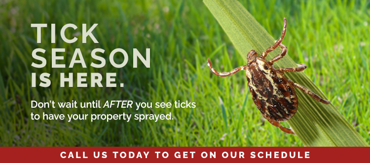 tick season is here